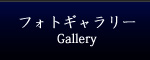 フォトギャラリー